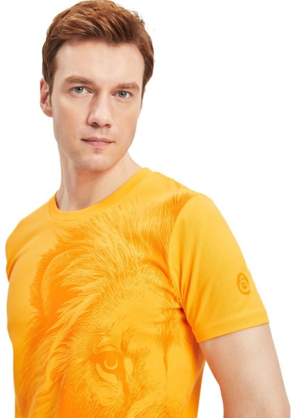 Orijinal Lisanslı Aslan Baskılı Sarı T-Shirt + Bileklik Set Hediyelik Ahşap Kutulu indirimleri