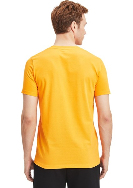 Orijinal Lisanslı Aslan Baskılı Sarı T-Shirt + Bileklik Set Hediyelik Ahşap Kutulu