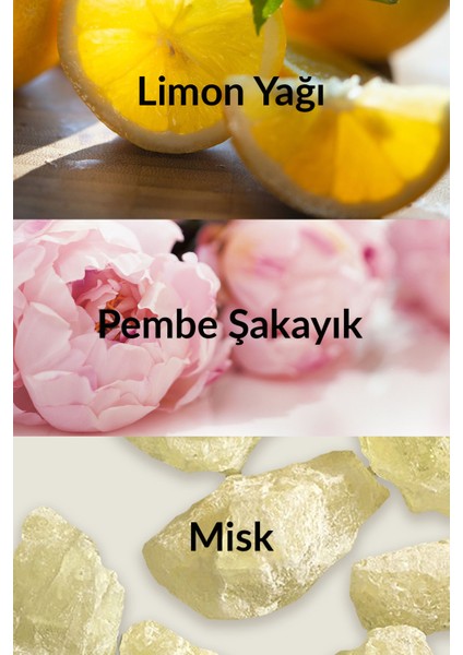 Little Black Dress Holiday Kadın Parfüm Edp 50 Ml. Ikili Paket fırsatları