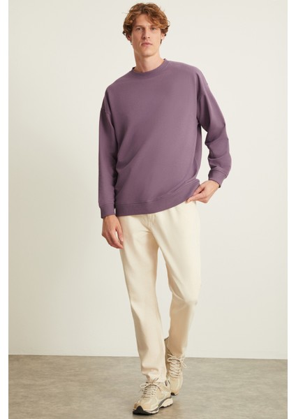Ludım Erkek Mor Sweatshirt fiyatları