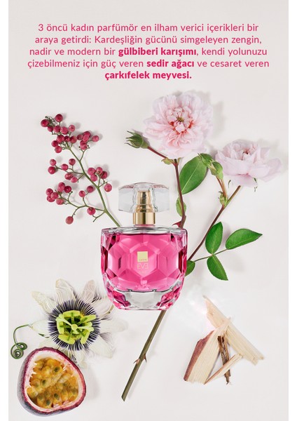 Eve One Kadın Parfüm Edp 50 Ml. Ikili Set modelleri