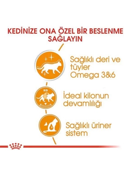 Royal Canin Intense Beauty Jelly Pouch Konserve Kedi Maması 85 gr modelleri