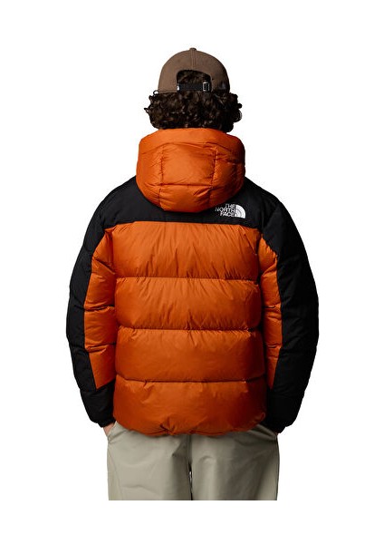 Erkek Hmlyn Down Parka NF0A4QYX5PO1 fiyatları