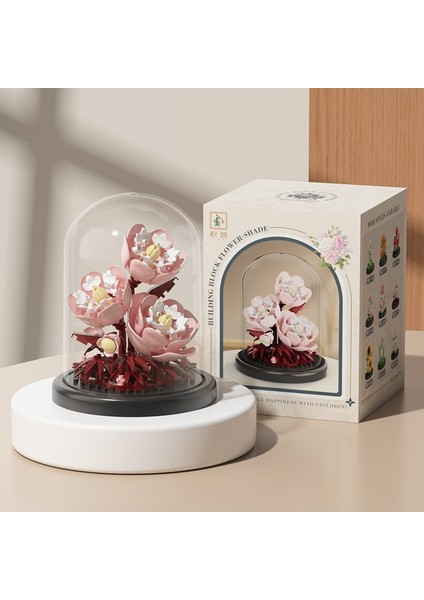 Aeonium Dıy Süs Montajlı Yapı Taşları Çocuk Oyuncakları Hediyeler (Yurt Dışından)