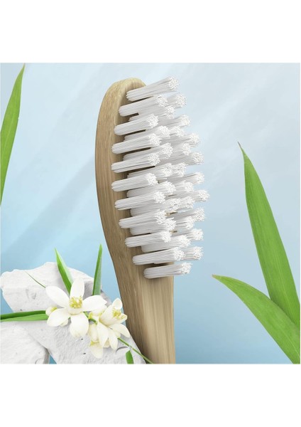 Pro-Expert Crossaction Antiplak Bambu Diş Fırçası Manuel Orta indirimleri