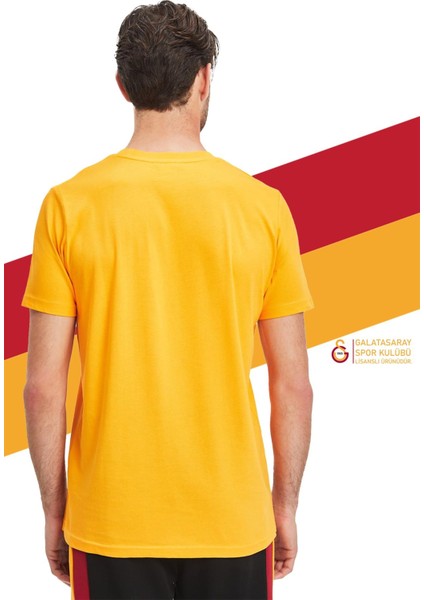 Orijinal Lisanslı Sarı T-Shirt Gs Hediyelik Ahşap Kutulu