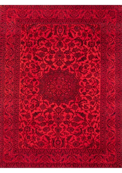 Cansu Koleksiyonu Kırmızı Desenli Dokuma Taban Modern Dekoratif Halı CANSU47
