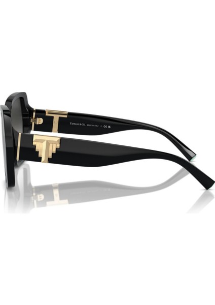 Tf 4219 80013C 29 Kadın Güneş Gözlüğü fiyatları