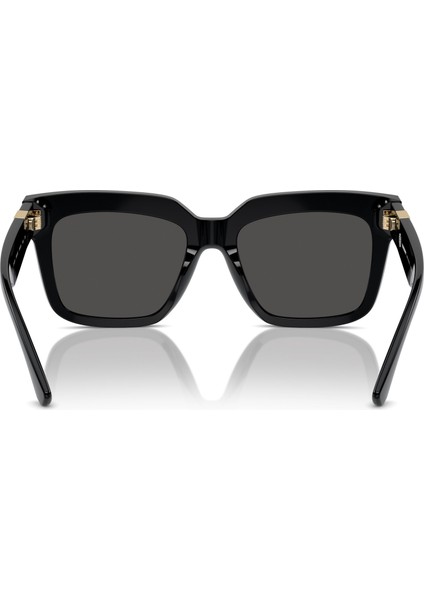 B 4419 300187 54 modelleri