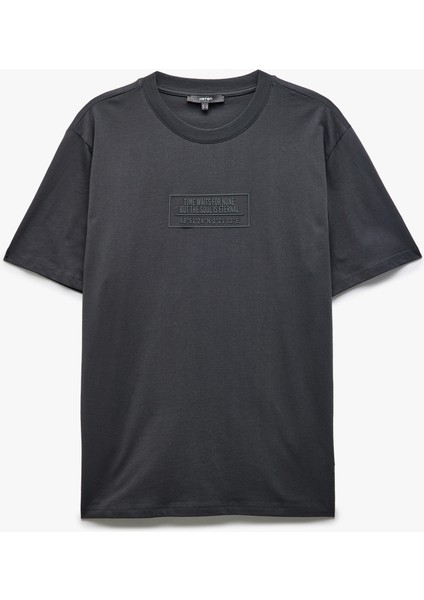 Yeni Sezon Regular Fit Pamuklu Bisiklet Yaka Kısa Kollu Baskılı Tişört modelleri