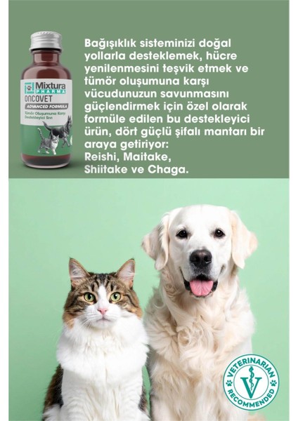 Oncovet Kedi ve Köpek Tümör Oluşumuna Karşı Bağıışıklığı Destekleyici Sıvı