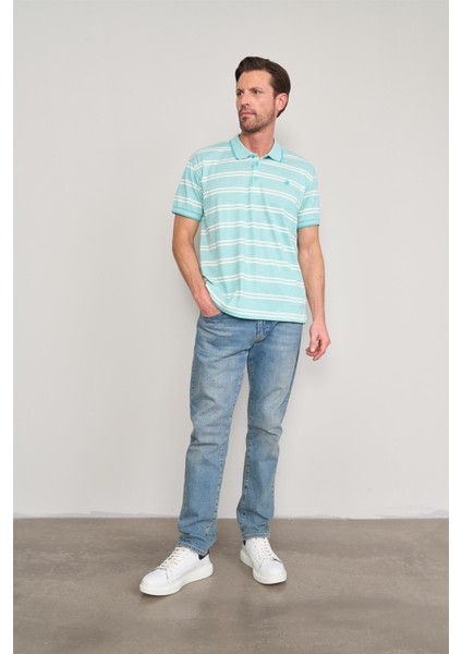 3941 Erkek Polo Yaka Ringelli 1-1 Pike T-Shirt Mint-Beyaz fiyatları