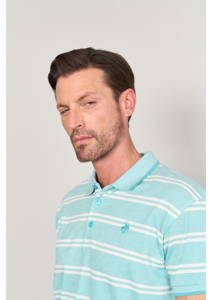 3941 Erkek Polo Yaka Ringelli 1-1 Pike T-Shirt Mint-Beyaz modelleri