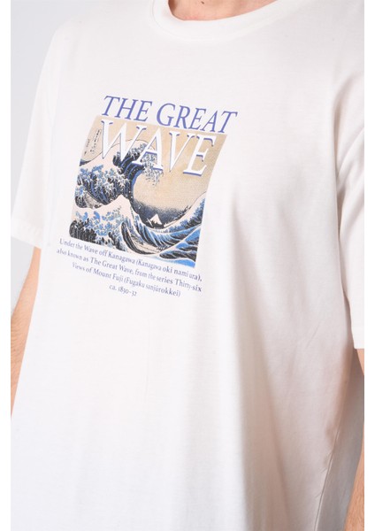 Çetinkaya Chester Polo 4205 Unisex Bisiklet Yaka Pamuk Lisans T-Shirt Şeker Kasar modelleri