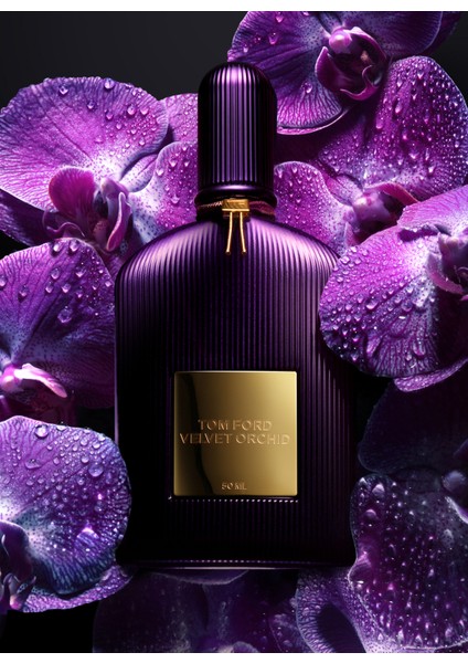 Velvet Orchid Edp 50 Ml Kadın Parfümü fiyatları