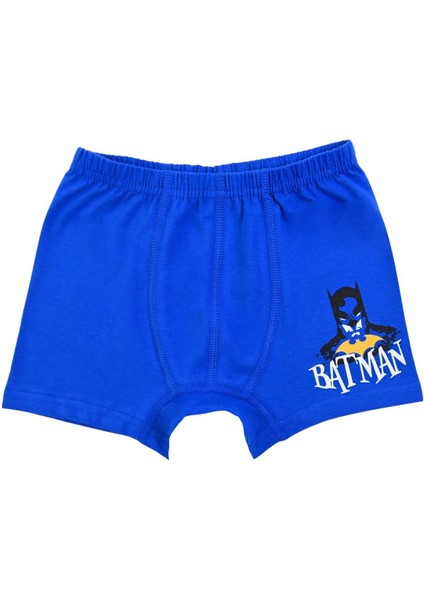 Erkek Çocuk 2 Li Boxer BM22688 fiyatları