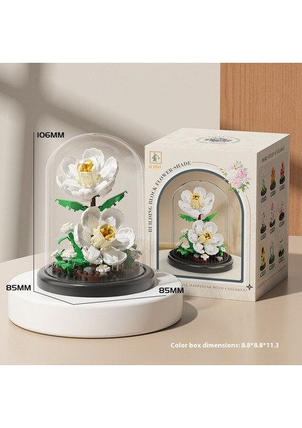 Aeonium Dıy Süs Montajlı Yapı Taşları Çocuk Oyuncakları Hediyeler (Yurt Dışından)