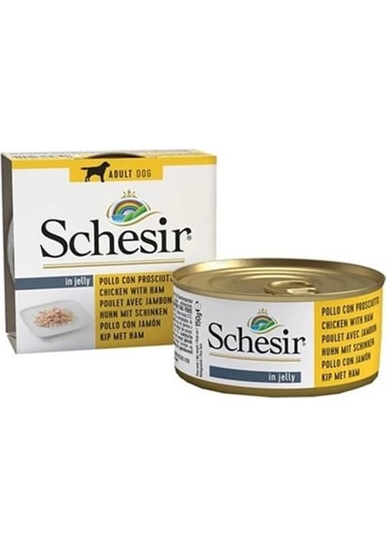 Schesir Jelly Pouch Tavuklu ve Domuzlu Fileto Konserve Yetişkin Köpek Maması 150 gr
