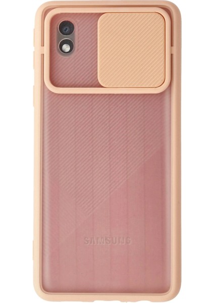 Samsung Galaxy A01 Core Kılıf Palm Buzlu Kamera Sürgülü Silikon - Pembe - KA2320-5982