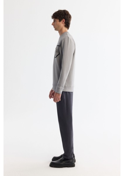 Erkek Gri Bisiklet Yaka Pamuklu Baskılı Elastan Sweatshirt A42y1240 modelleri