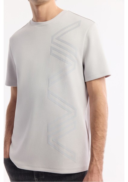 Erkek Gri Bisiklet Yaka Puff Print T-shirt A51y1004 fiyatları