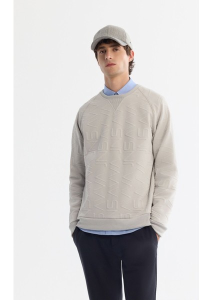 Erkek Gri Bisiklet Yaka Baskılı Elastan Sweatshirt A42y1335