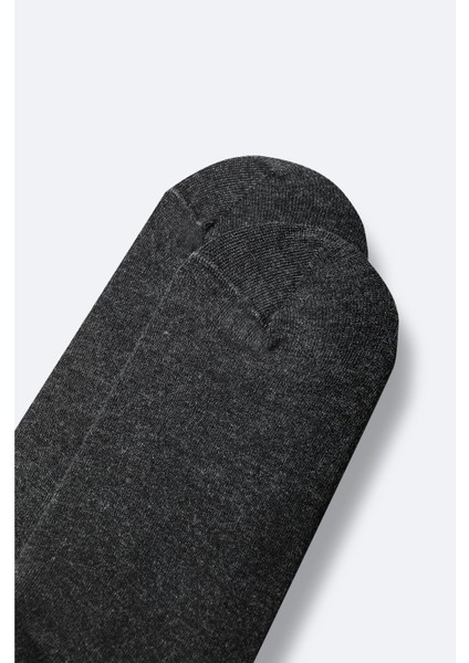 Erkek Antrasit Pamuklu Sneaker Çorap B008553 fiyatları