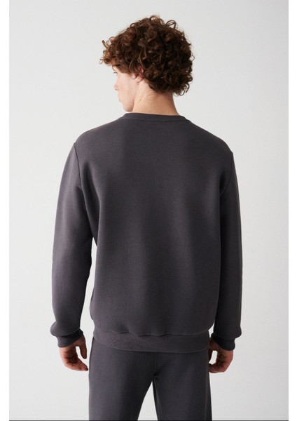 Erkek Antrasit Bisiklet Yaka 3 Iplik Şardonlu Pamuklu Sweatshirt E001017 fırsatları