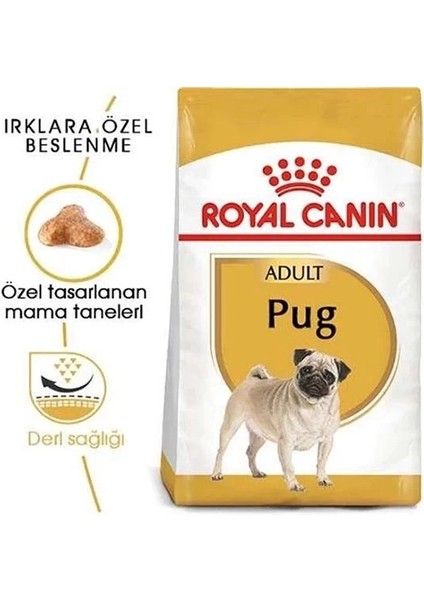 Royal Canin Pug Adult Yetişkin Köpek Maması 1.5 kg modelleri