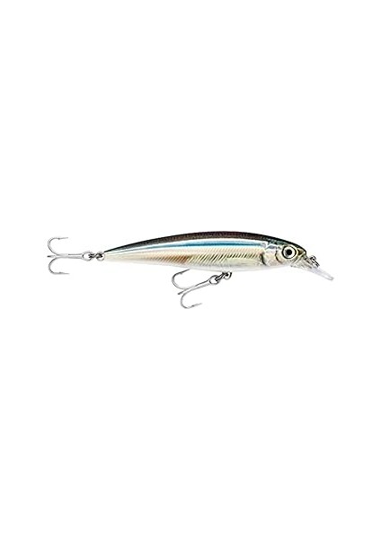 Rapala X-Rap Tuzlu Su Balıkçılık Yemi
