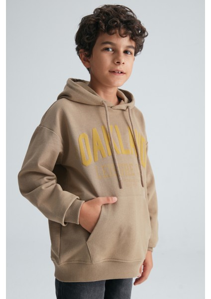 Roy Erkek Çocuk %100 Pamuk Kapüşonlu Vizon Sweatshirt fiyatları