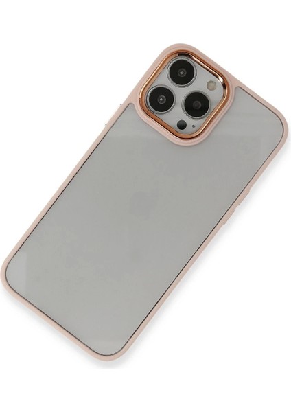 Newface iPhone 13 Pro Kılıf Dora Kapak - Pudra modelleri