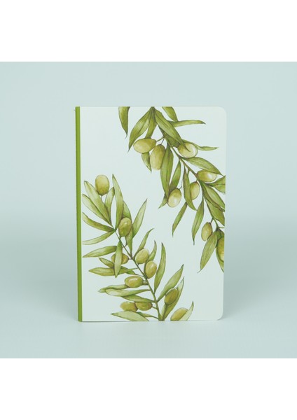 Zeytindalı Defter Çizgisiz