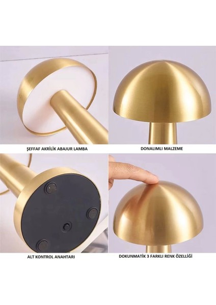 Renkli Dokunmatik Mantar Masa Lambası, Şarjlı, Metal, 3 Işık Seçeneği modelleri