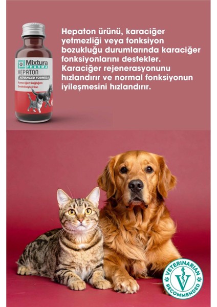 Hepaton Kedi ve Köpek Karaaciğeer Destekleyici Sıvı fırsatları