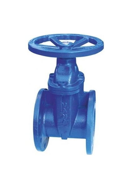 1182 Elastomer Sürgülü Vana F4 GG40 Dn 80