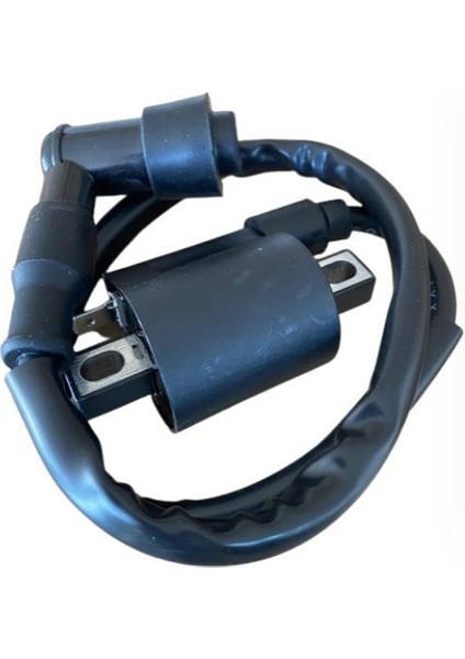 Motorsiklet Cub Cg 125 Ateşleme Bobini Buji Başlığı (Cup 100) fiyatları