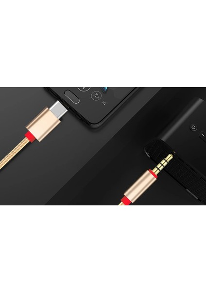 Ally Halat USB Type-C Aux Muzik KABLO-(1903) - KA1258-2247