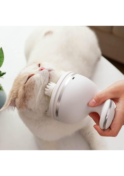 Şarjlı Su Geçirmez Çok Fonksiyonlu Masaj Cihazı fırsatları