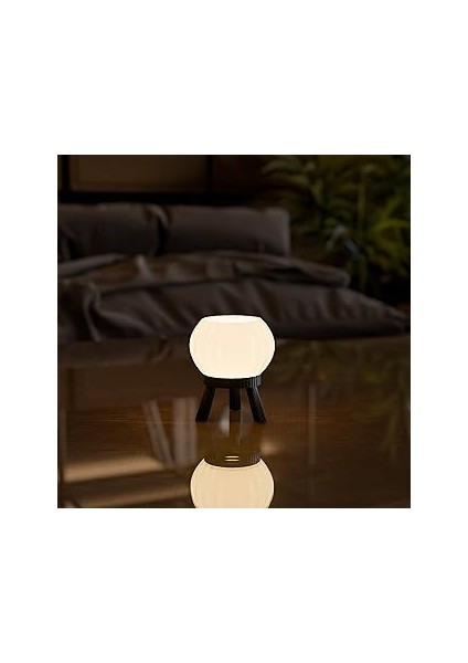 Modern Balon Masa Lambası