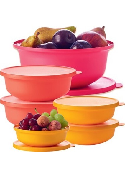 Aloha 6'lı Set