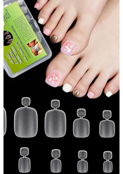 100 XSMALL Beden Adet Ayak Tırnağı Bedene Göre. Bedeninizi Bulup Sipariş Verebilirsiniz