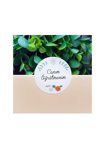 Bimotif Sticker, Canım Öğretmenim, 3.2 cm 2 Sayfa