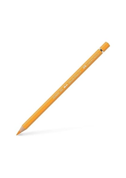 Kuru Boya Albrecht Dürer 8200-109