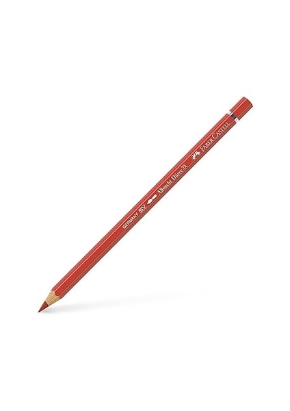 Kuru Boya Albrecht Dürer 8200-191