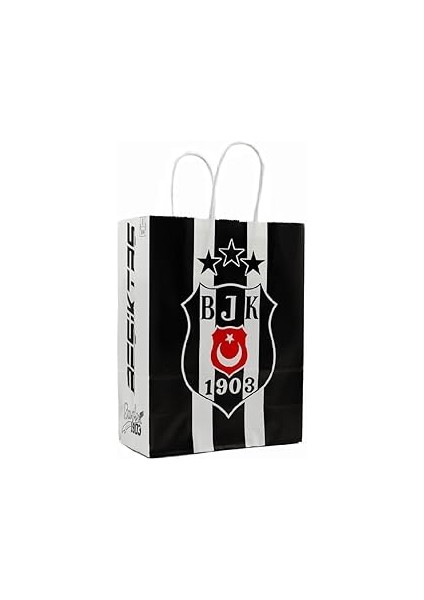 18X24 cm Temalı Lisanslı Kağıt Çanta (2 Adet)