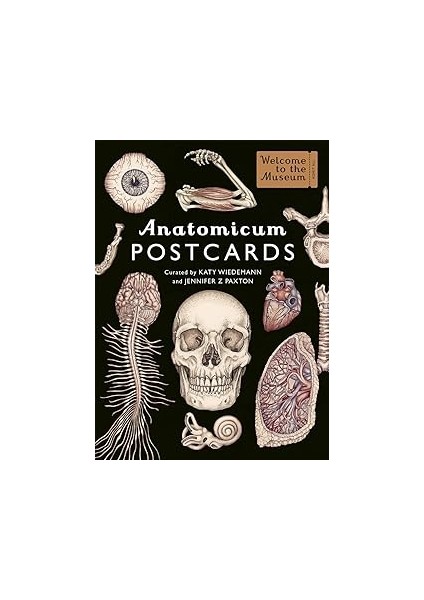 Anatomicum Postcard Box