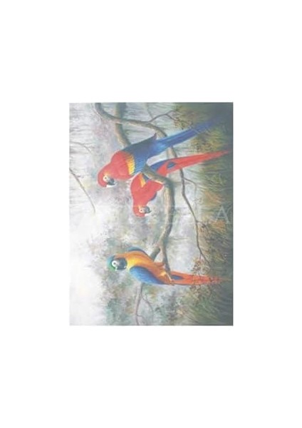 Artebella Extra Büyük Kolay Transfer Koyu Zemin 33X48 cm 1604K