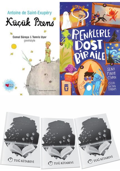 Küçük Prens ve Renklerle Dost Bir Aile + Hediyeli