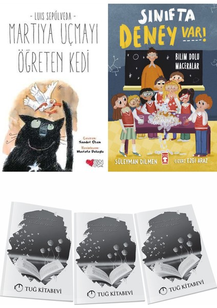 Martıya Uçmayı Öğreten Kedi ve Sınıfta Deney Var Bilim Dolu Maceralar + Hediyeli